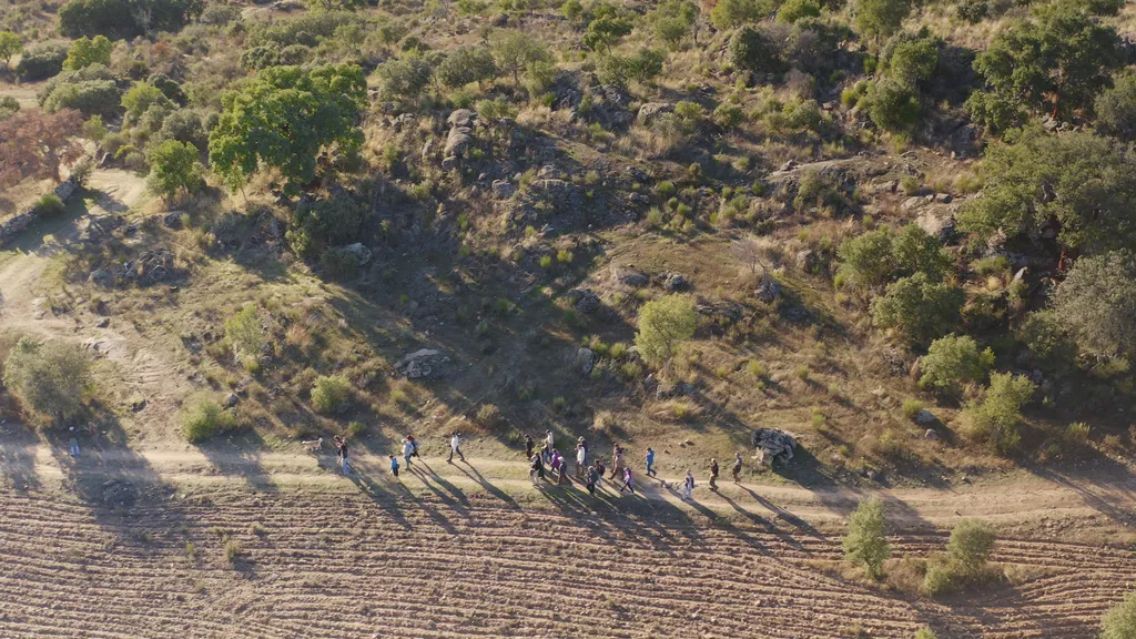 Forest Keepers convida 16 adolescentes para dois dias numa floresta do Alentejo