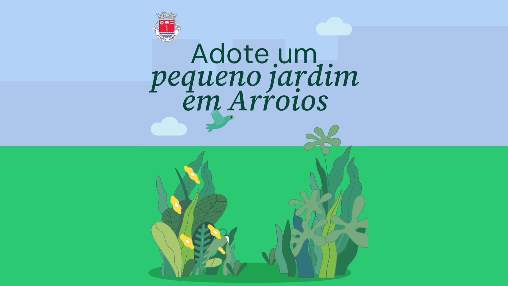 Arroios opens 12 of its 44 flowerbeds to resident gardeners