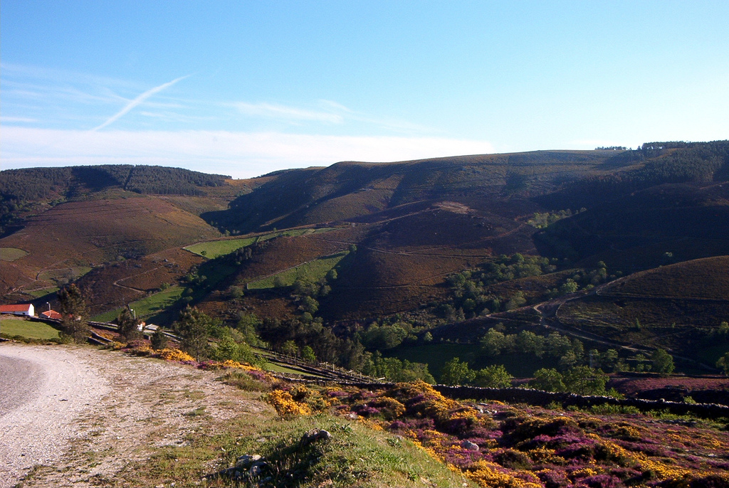 Nature rights campaign sees a role for Portugal’s baldios
