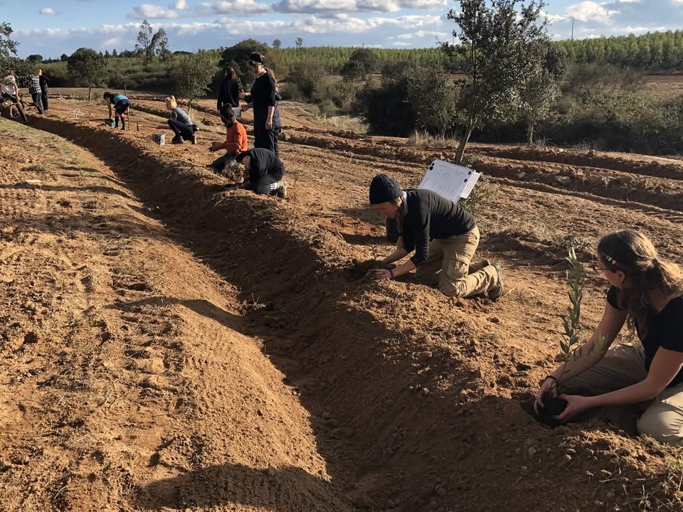 Ekōgaio is helping regenerate Portuguese landscapes from its hub near Tomar