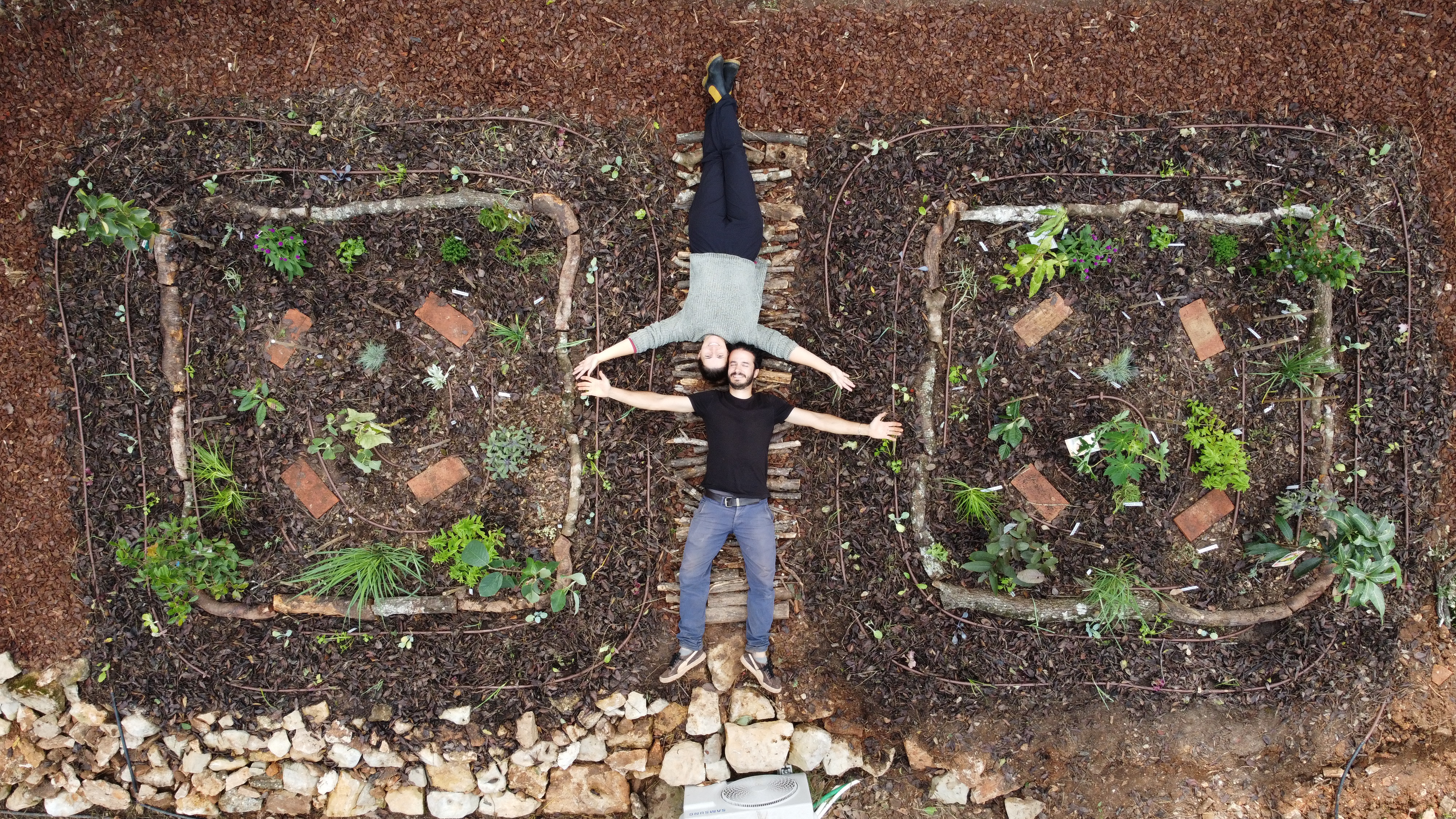 Biggest Mini Forest turns 3x3 metre plots into food forests