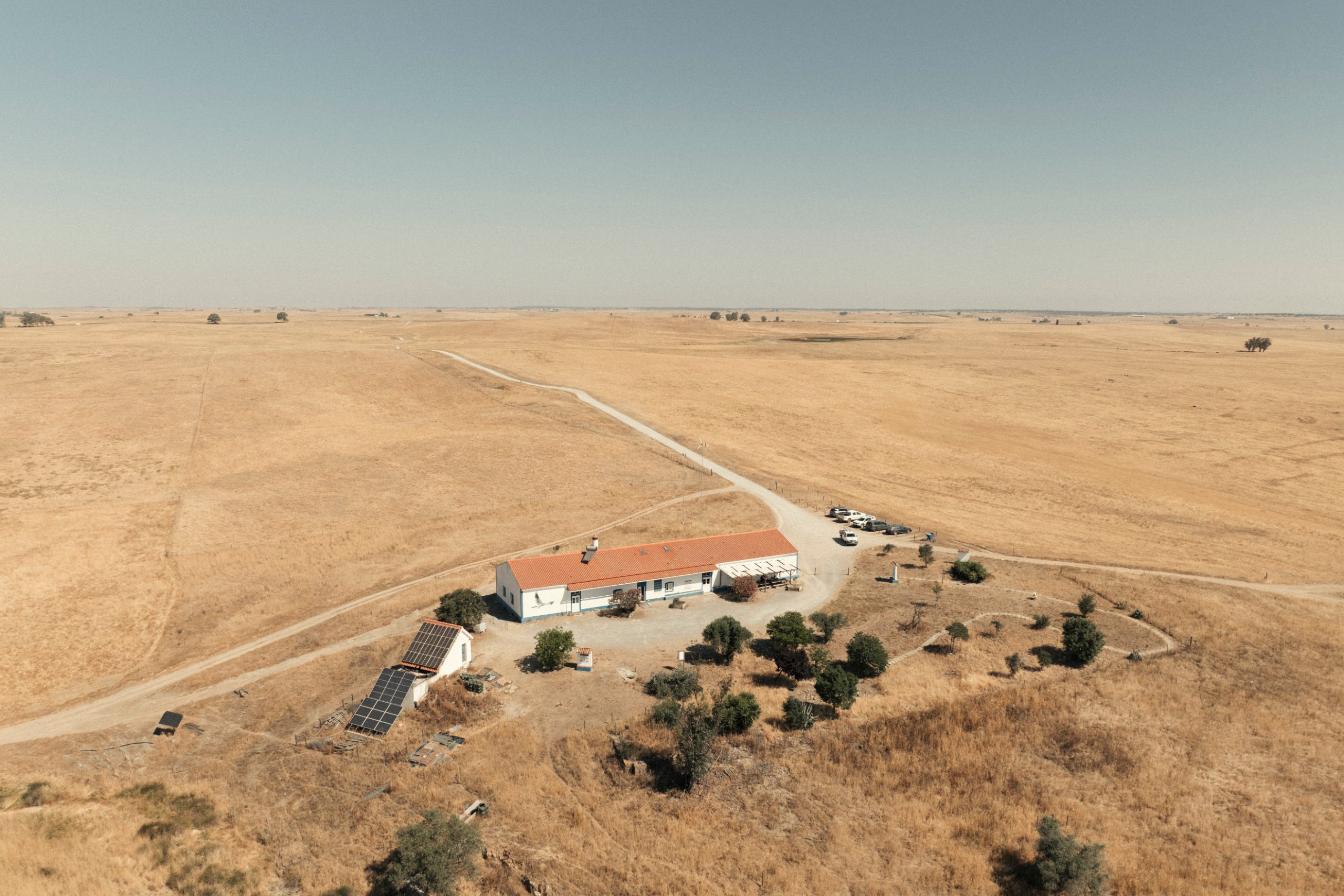 LPN bought 1,800 hectares of Castro Verde to save its birds