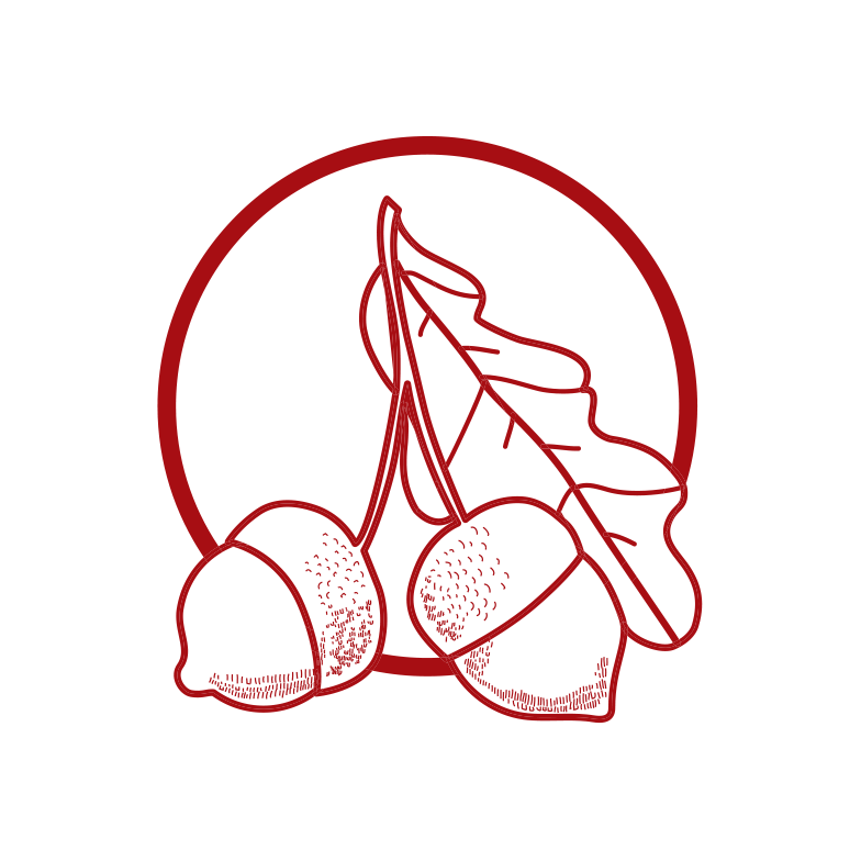 Quinta do Silverto logo