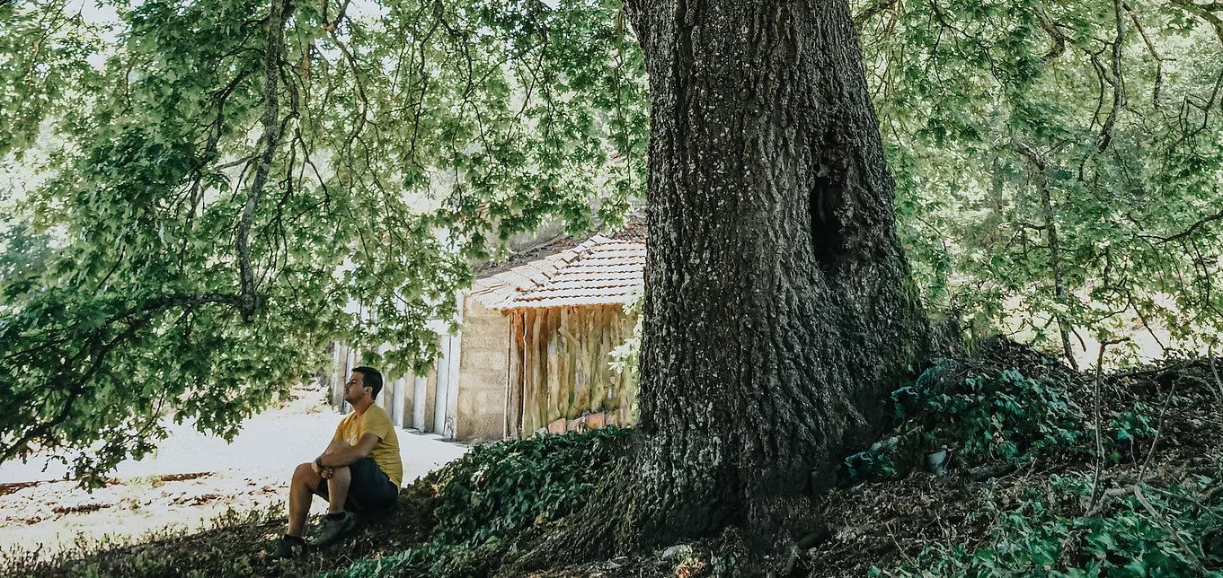 VERDE - Associação para a Conservação Integrada da Natureza