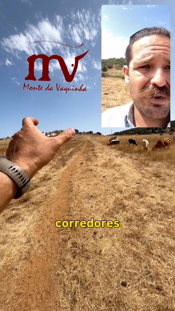 Monte da Vaquinha
