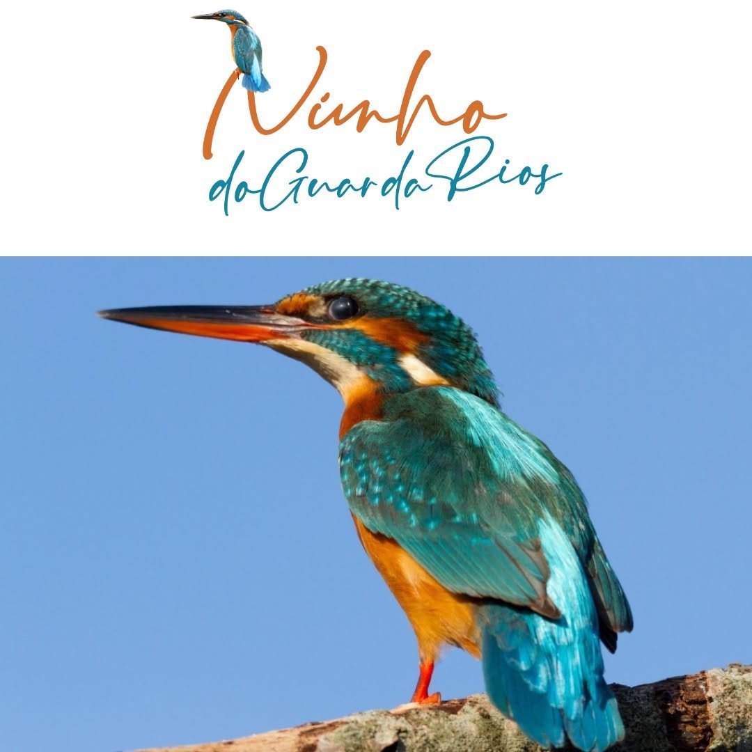 Ninho do Guarda-Rios