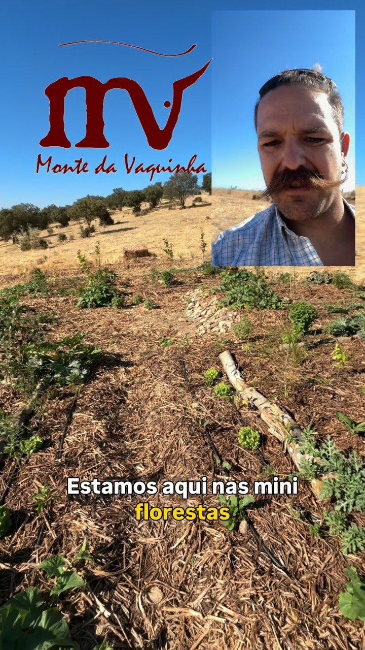Monte da Vaquinha