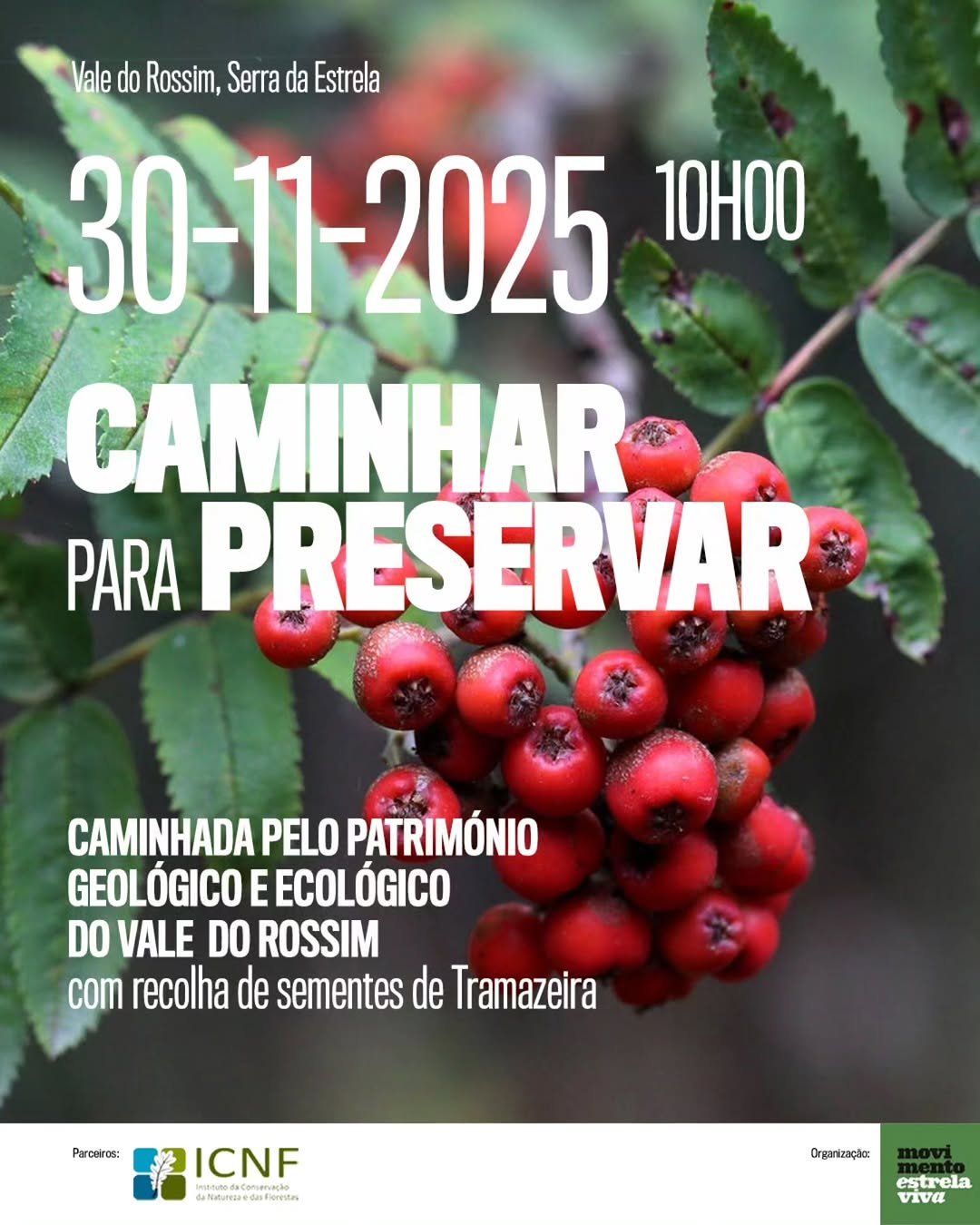 Movimento Estrela Viva