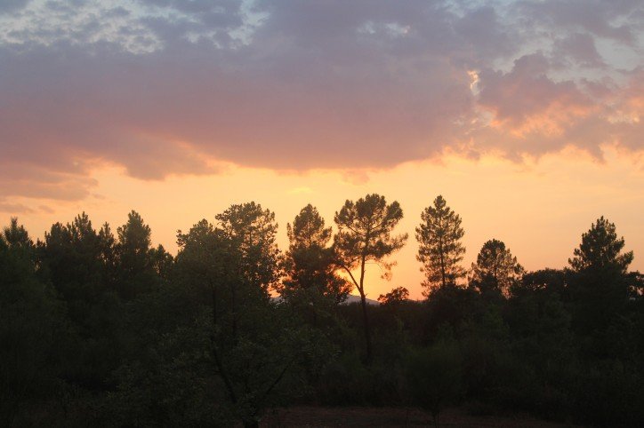 The Riverside Community