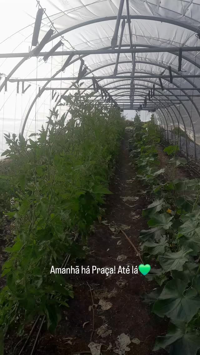 Horta do Pé Descalço
