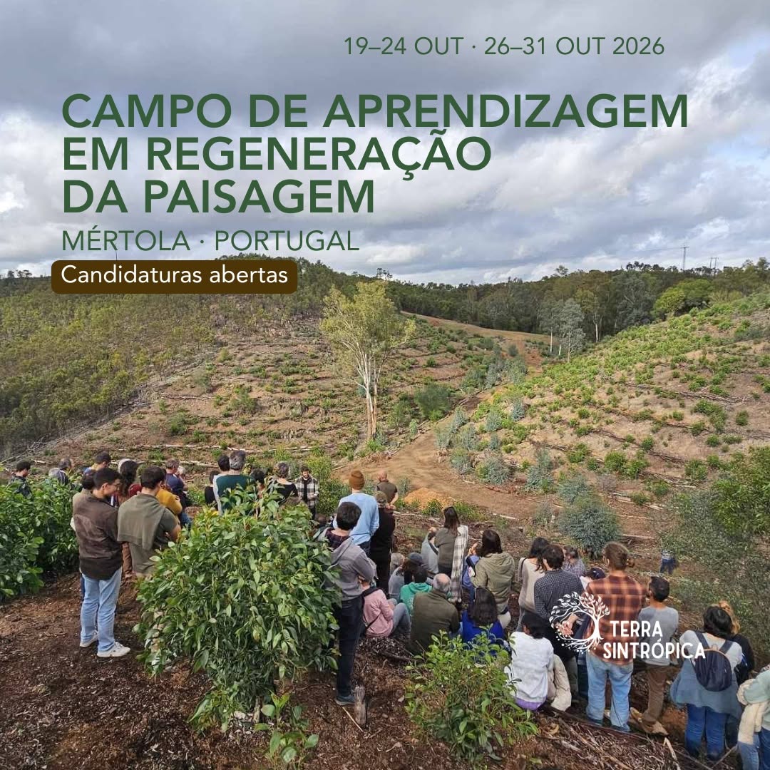 Campo de Aprendizagem em Regeneração da Paisagem