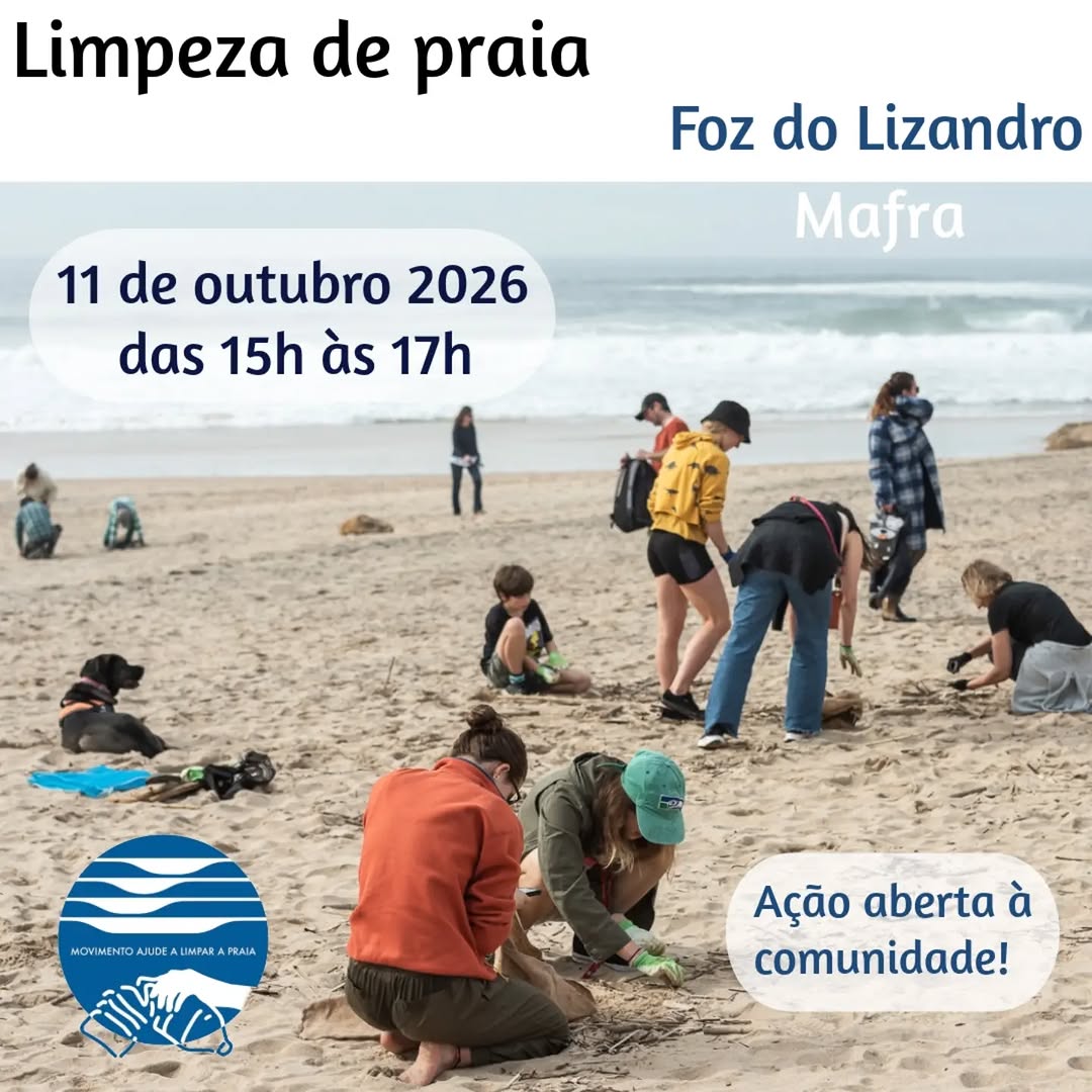 Limpeza da Praia da Foz do Lizandro – Movimento ALP