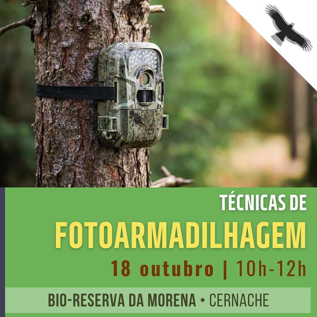 Workshop de fotoarmadilhagem na Bio-Reserva da Morena