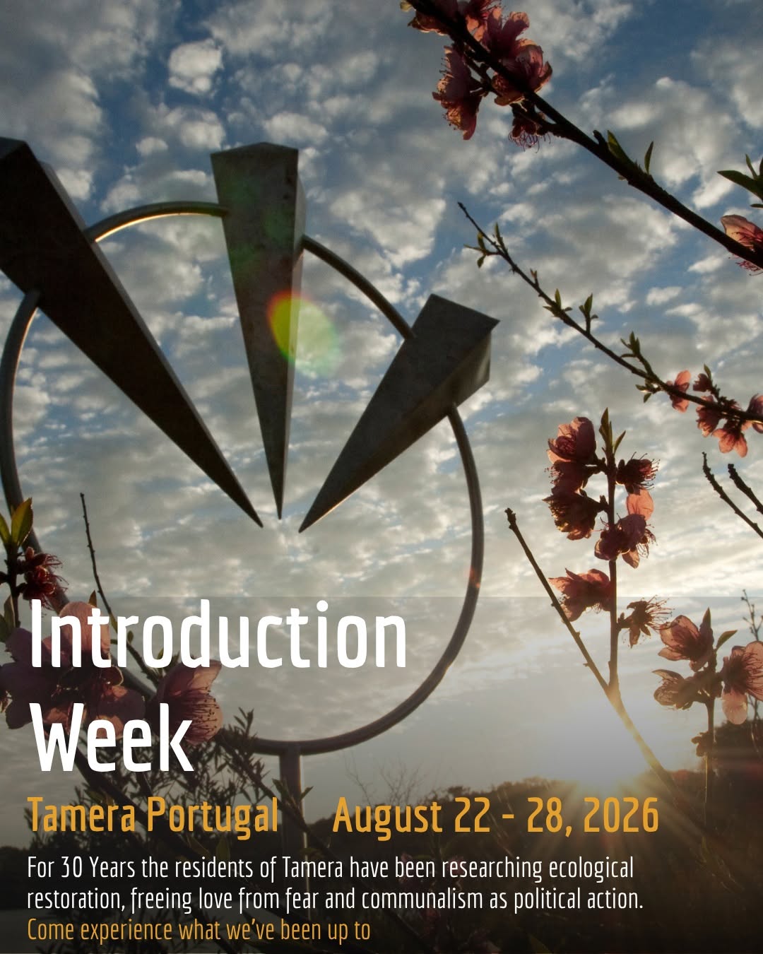 7-Day Introduction to Tamera