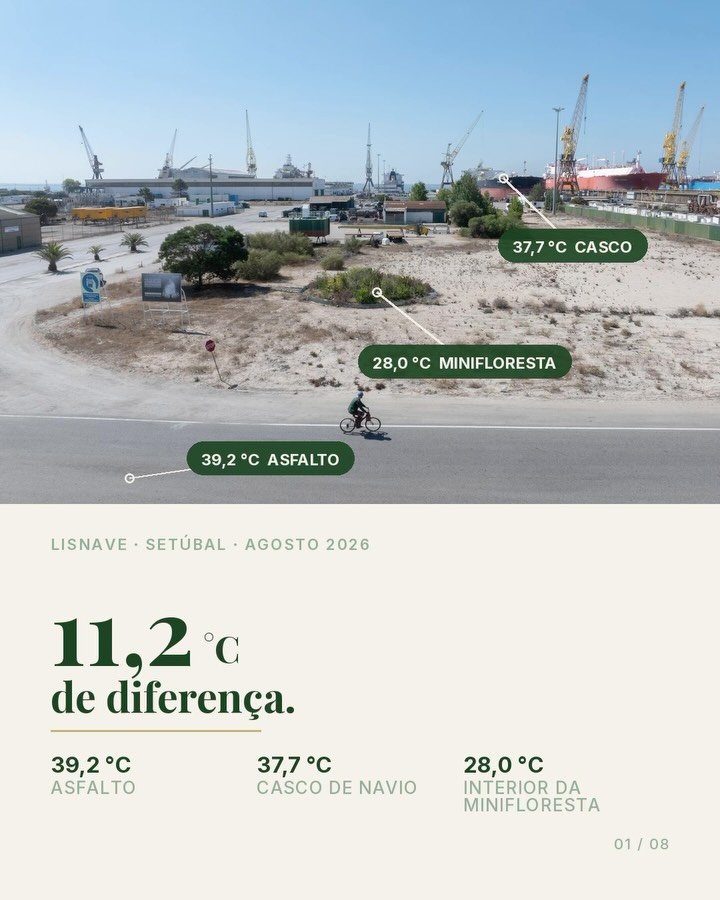 Plantação de MiniFloresta - Ilha de Biodiversidade na Escola Sant'Lago