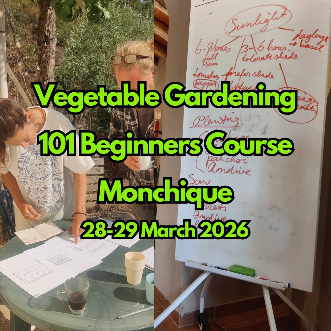 101 Starters Course - Vegetable Gardening