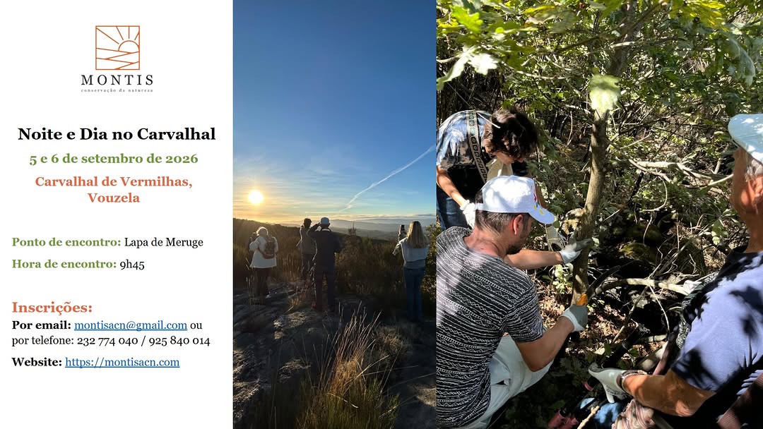 Night and Day in Carvalhal