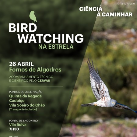 Birdwatching in Serra da Estrela – Biodiversity Trails