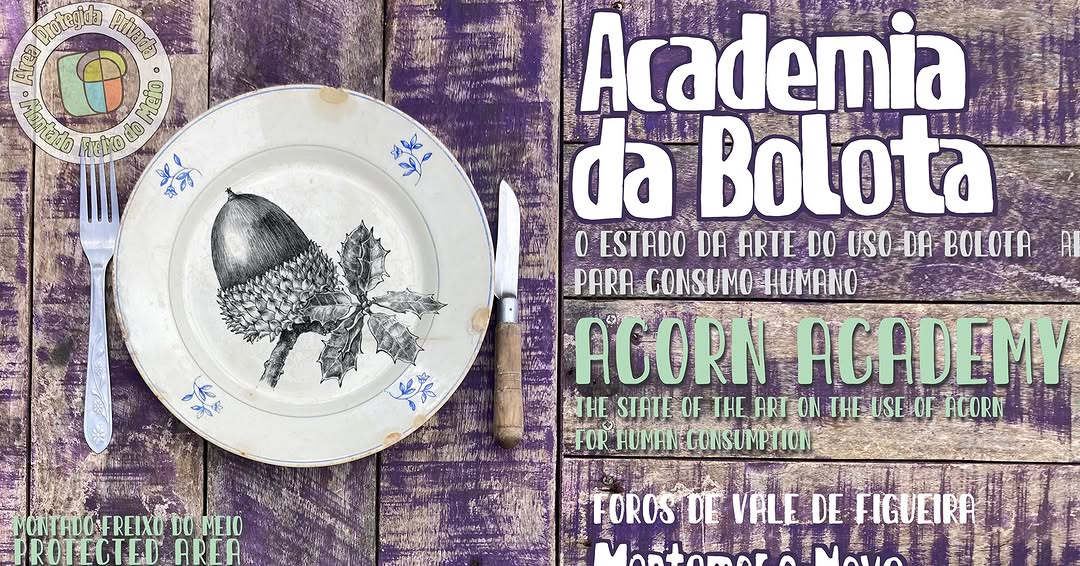 Acorn Academy 2026 - 2nd edition