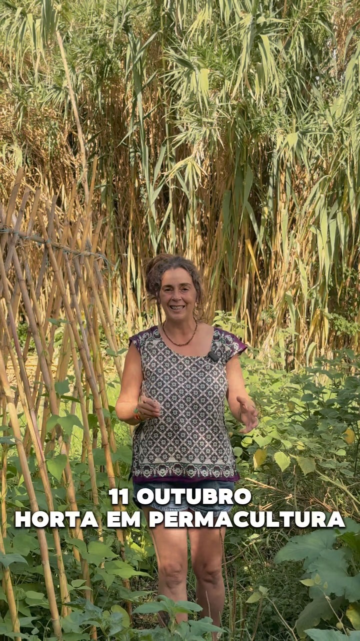 Permaculture Training: Creating a Sustainable Vegetable Garden