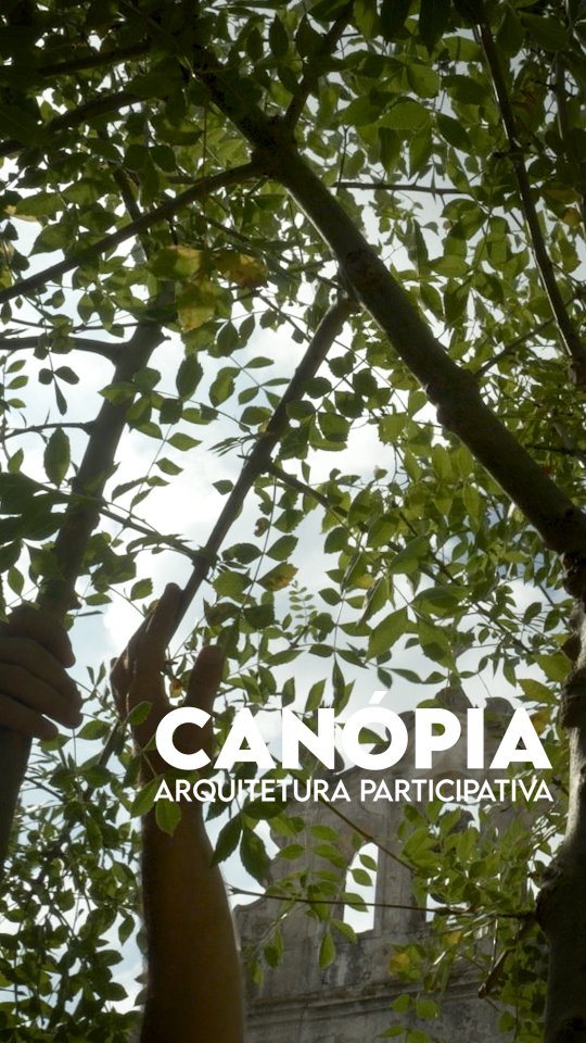 Humus and Soil Regeneration Workshops — Canópia