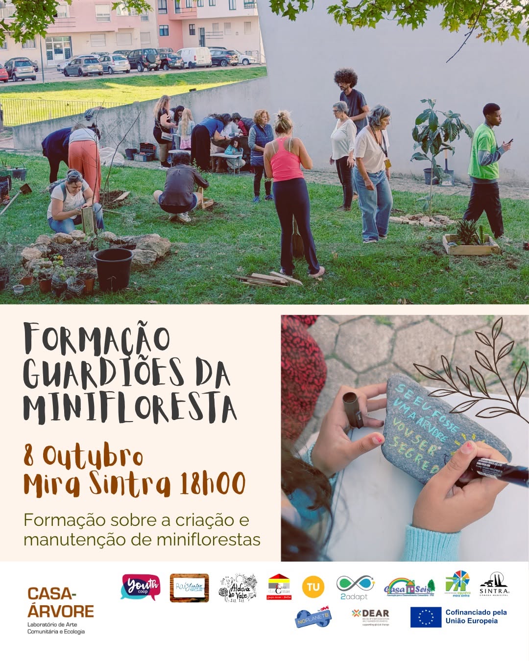Formação: O que é uma minifloresta