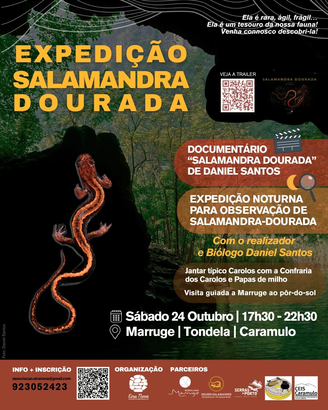 Aventura da Salamandra-Dourada em Marruge