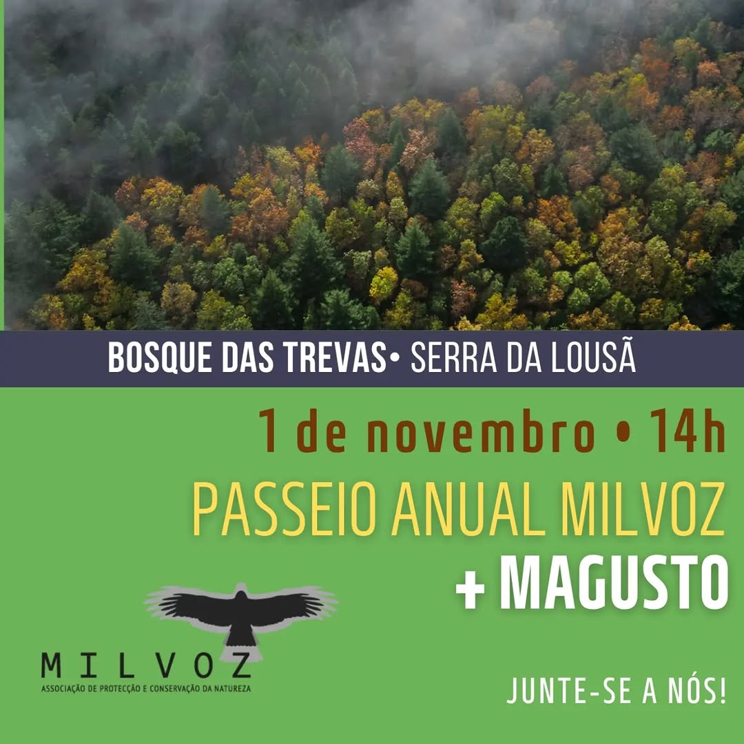 First Annual Milvoz Walk + Magusto