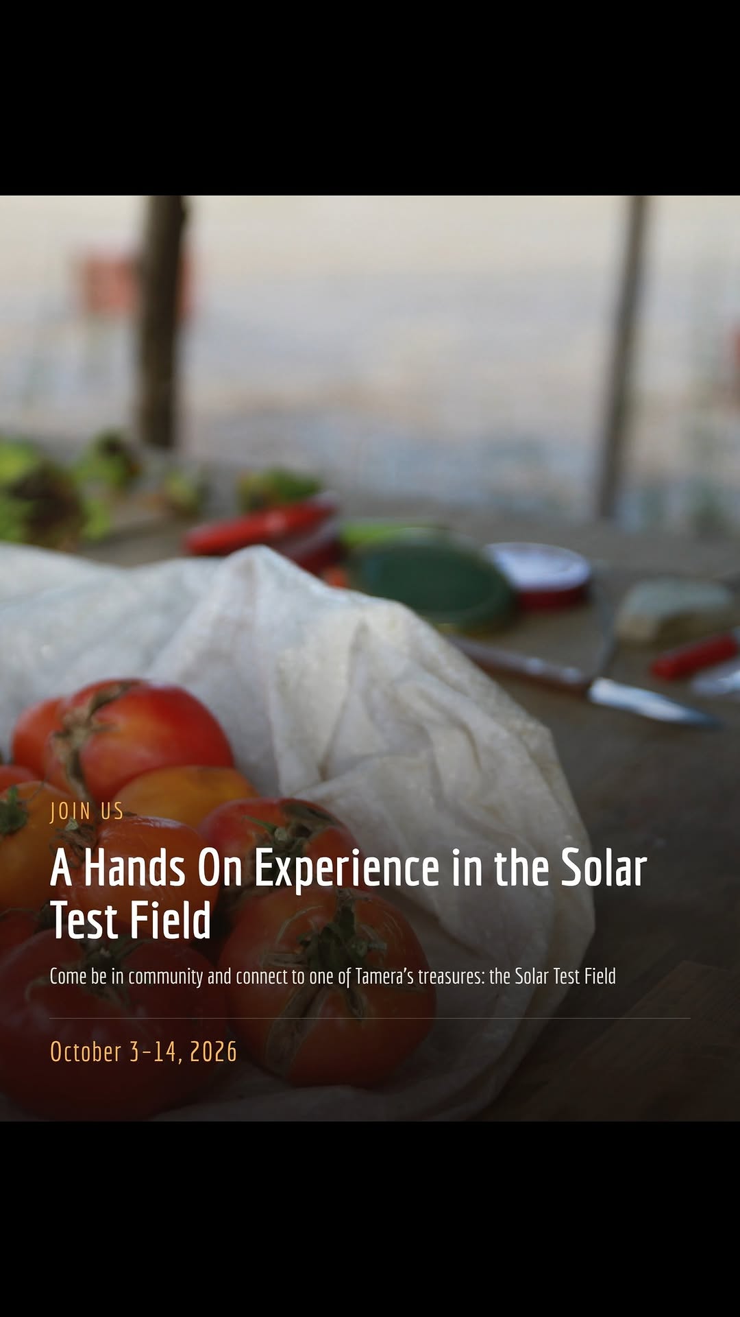 Hands-on in the Solar Test Field & Garden