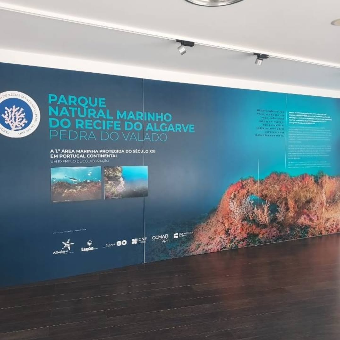 Discovering the Algarve Reef - Visit and Hands-On Activity