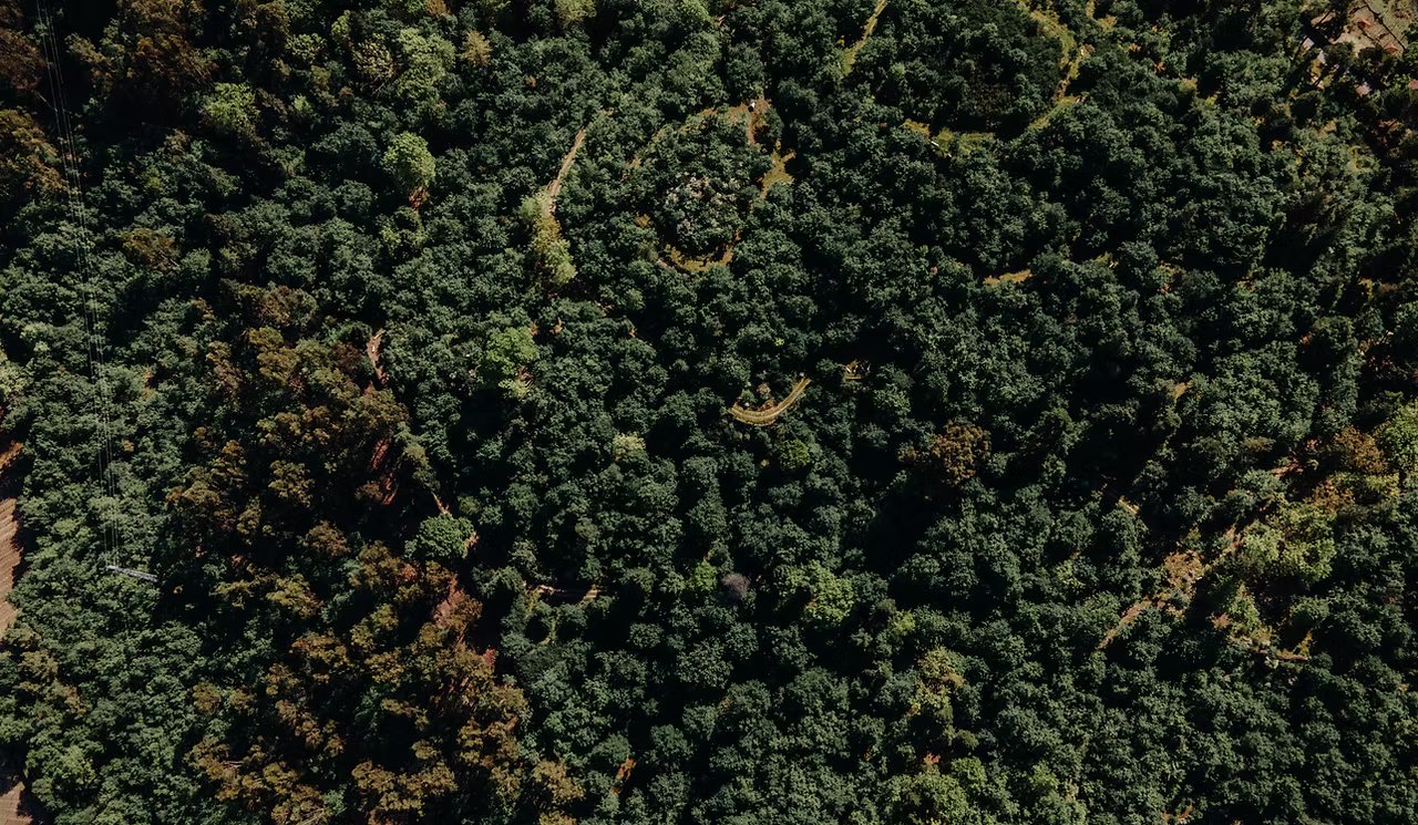 VERDE - Associação para a Conservação Integrada da Natureza